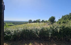 Parisot, Midi-Pyrénées 81310