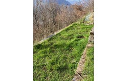 Vizille, Isère 38220