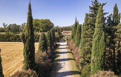 Fourques, Languedoc-Roussillon 66300