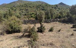 Canavaggia, Haute-Corse 20235