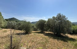 Montferrat, Var 83131
