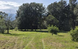 Ghisonaccia, Corsica 20240