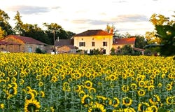 Saint-Bazile, Limousin 87150