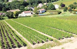 Juliénas, Rhône-Alpes 69840