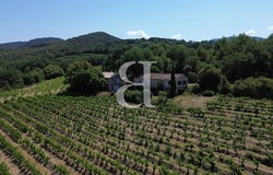 Buis-les-Baronnies, Auvergne-Rhône-Alpes 26170