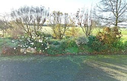 Mésanger, Pays-de-la-Loire 44522