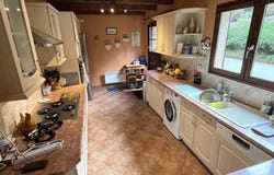 Blond, Limousin 87300