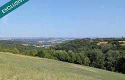 Albi, Midi-Pyrénées 81000