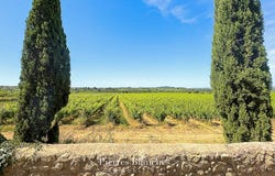 Pézenas, Languedoc-Roussillon 34120