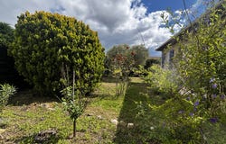 Pomérols, Languedoc-Roussillon 34810