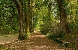VERS EN MONTAGNE, Bourgogne-Franche-Comté 39300