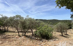Varages, Var 83670