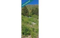 Gorges Du Tarn Causses, Languedoc-Roussillon 48210
