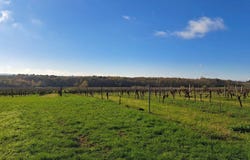 Saint-Macaire, Gironde 33490