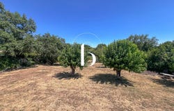 Barjac, Gard 30430