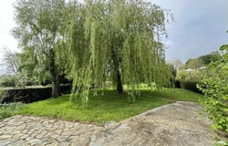 Taden, Côtes-d'Armor 22100