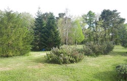 Ciran, Centre 37240