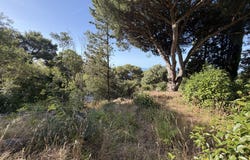 Sète, Languedoc-Roussillon 34200