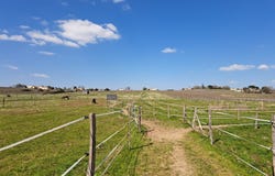 Saint-Macaire, Aquitaine 33490