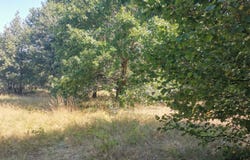 NEGREPELISSE, Occitanie 82800