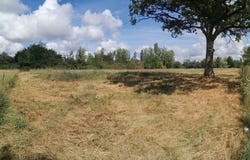 saint benoit sur loire, Centre 45730