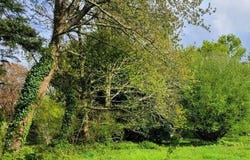 Radenac, Bretagne 56500
