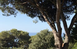 Sète, Languedoc-Roussillon 34200