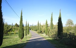 Fanjeaux, Languedoc-Roussillon 11270