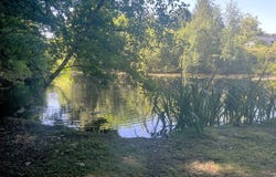DOURNAZAC, Nouvelle-Aquitaine 87230