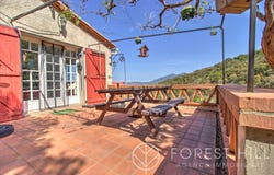 Céret, Languedoc-Roussillon 66400