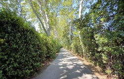Canohès, Languedoc-Roussillon 66680