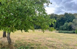 Le Val-d'Ajol, Lorraine 88340