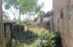 Magné, Nouvelle-Aquitaine 86160