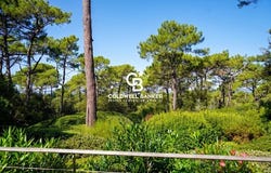 Pyla-sur-Mer, Nouvelle-Aquitaine 33115