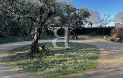 Saint-Étienne-du-Grès, Provence-Alpes-Côte d'Azur 13103