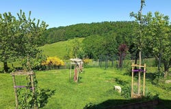 Thizy-les-Bourgs, Rhône-Alpes 69240