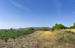 Roquefort-Des-Corbieres, Languedoc-Roussillon 11540