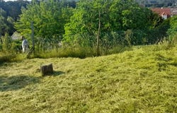 Villeneuve-Saint-Germain, Aisne 02200