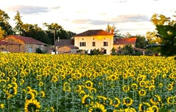SAINT BAZILE, Nouvelle-Aquitaine 87150