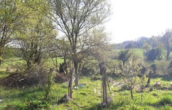 Ouanne, Burgundy 89560