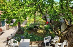 Castres, Tarn 81100