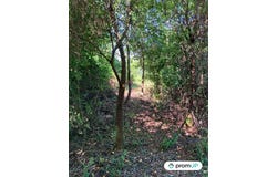 La Souterraine, Nouvelle-Aquitaine 23300