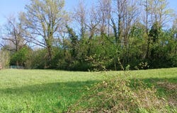 Ribérac, Dordogne 24600