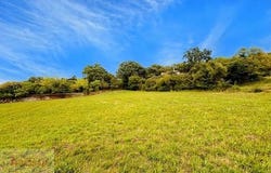 BARJAC, Languedoc-Roussillon 30430
