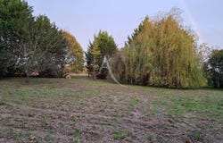 L ISLE JOURDAIN, Occitanie 32600