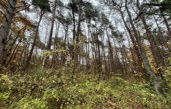 Belleu, Picardie 02200