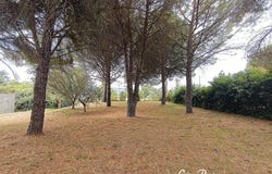 Nages-et-Solorgues, Languedoc-Roussillon 30114