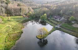 Blond, Limousin 87300
