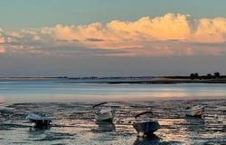 Île De Re, Nouvelle-Aquitaine 17630