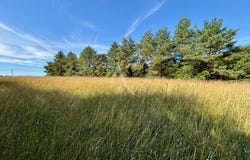 CHEMERY, Centre-Val de Loire 41700